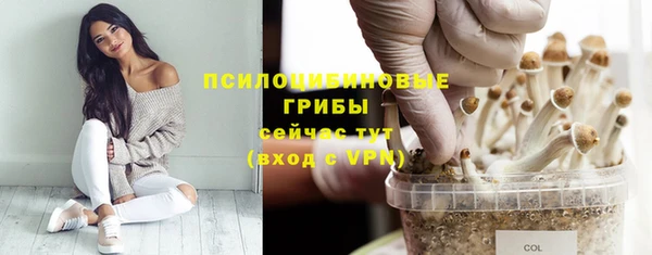 ГАЛЛЮЦИНОГЕННЫЕ ГРИБЫ Арсеньев