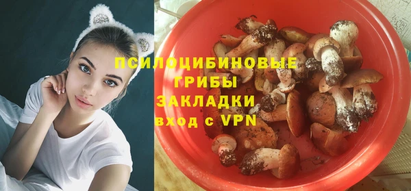 ГАЛЛЮЦИНОГЕННЫЕ ГРИБЫ Арсеньев