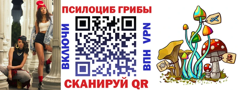 Купить Бобров Псилоцибиновые грибы мицелий